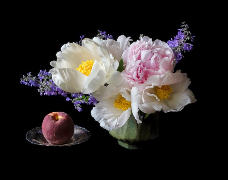 Untitled: Peonies and Peach