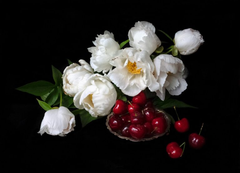 Untitled: Peonies with Cherries