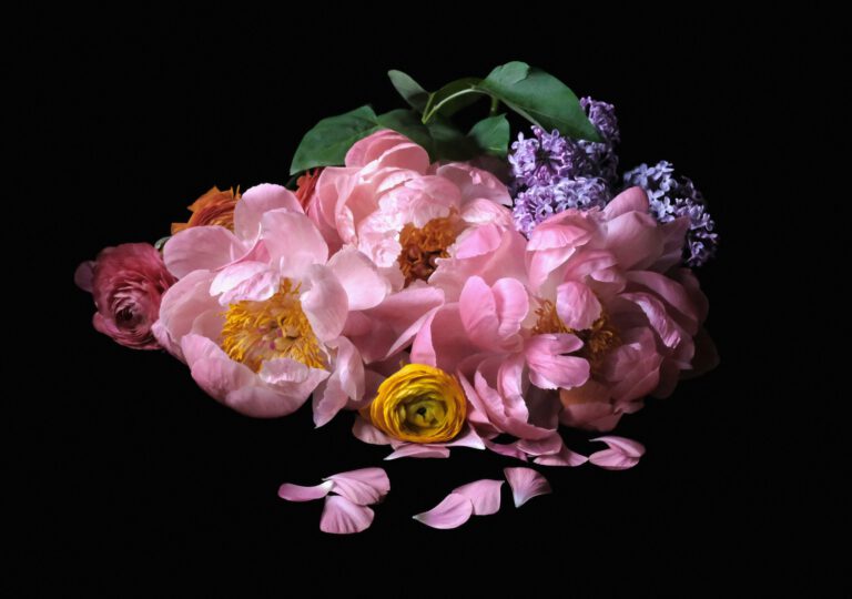 Untitled: Peonies with Lilac