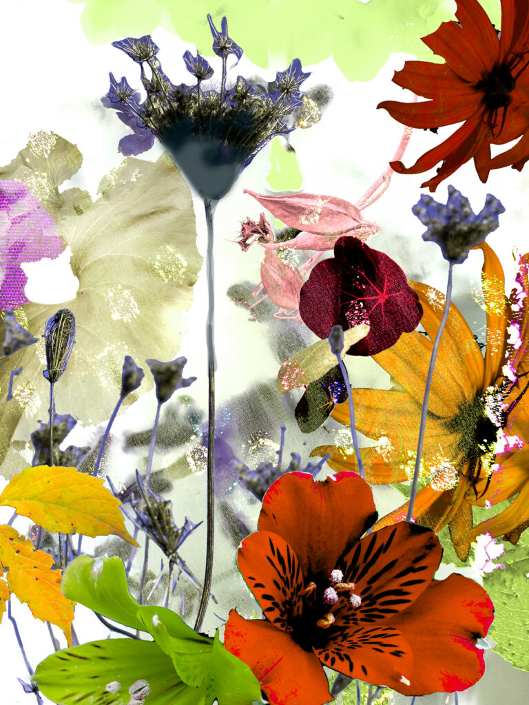 Wildflowers 17