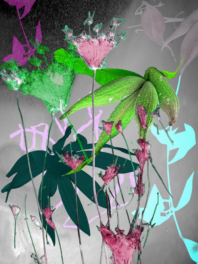 Wildflowers 08