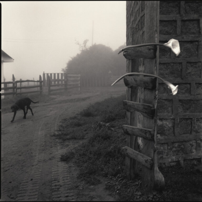 Santa Rosa Farm