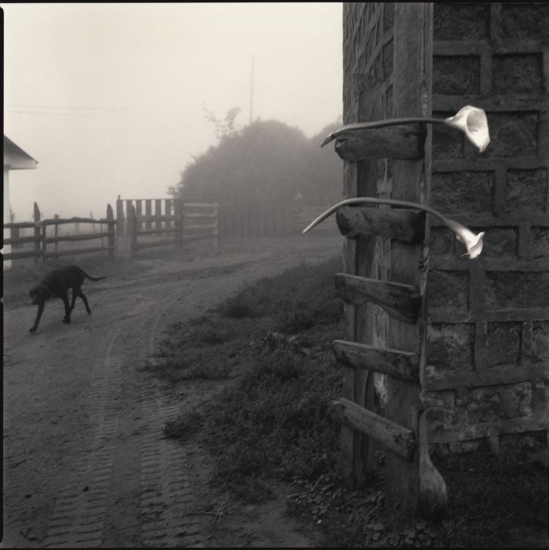 Santa Rosa Farm