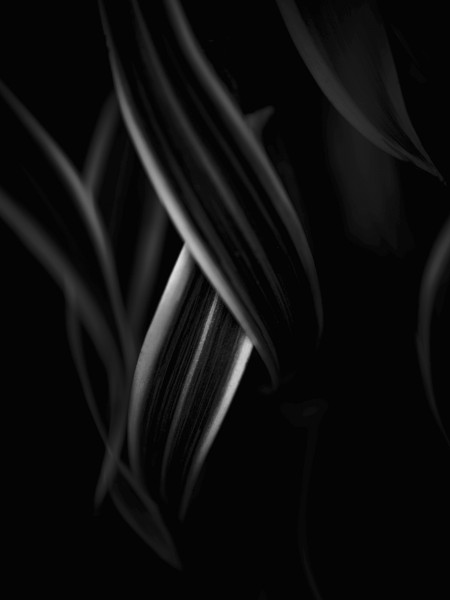 Whispered Sigh II