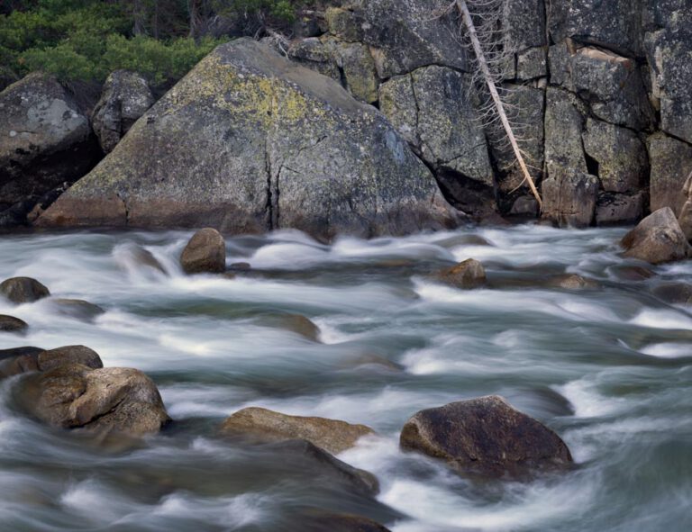 Tuolumne River, Fallen Tree, Yosemite