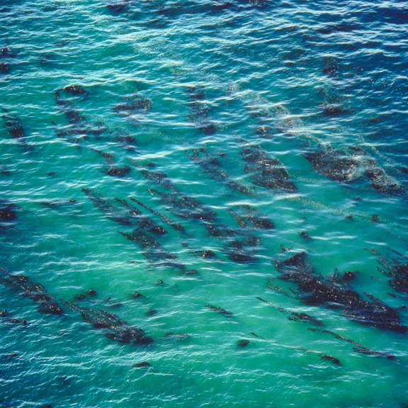 Acquamarine Sea, California