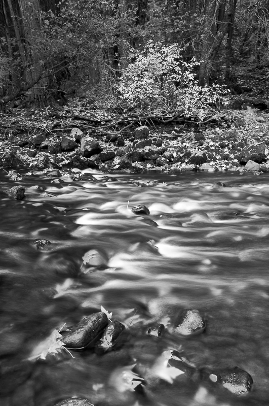 Autumn on the Merced, Yosemite