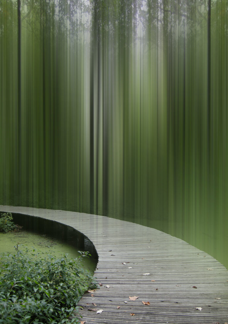 Toward Profusion