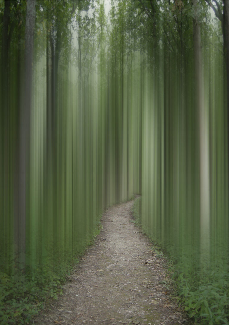 Among the Spirits
