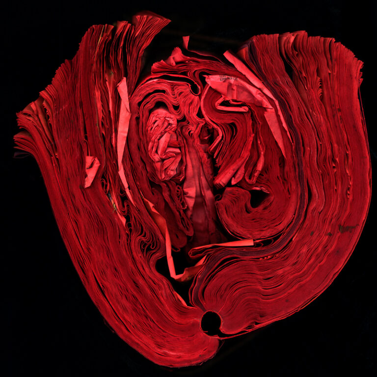 Heart