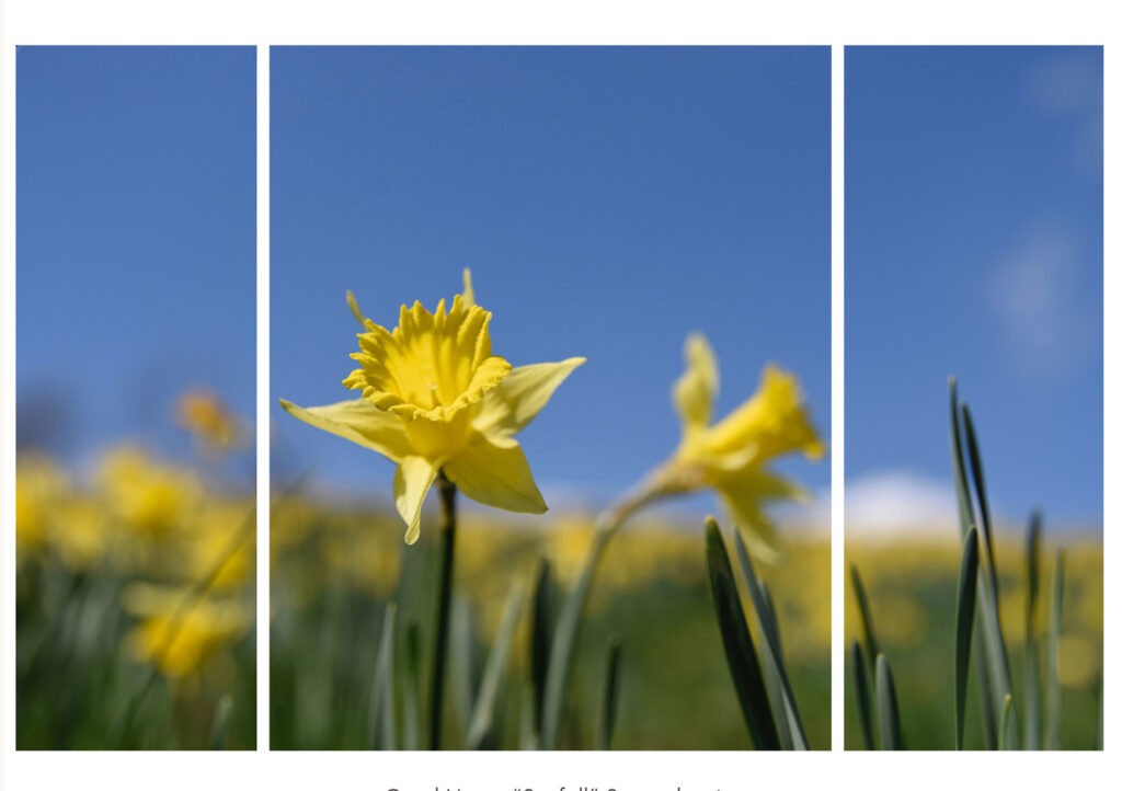 Sunfall: 3 Panel Series