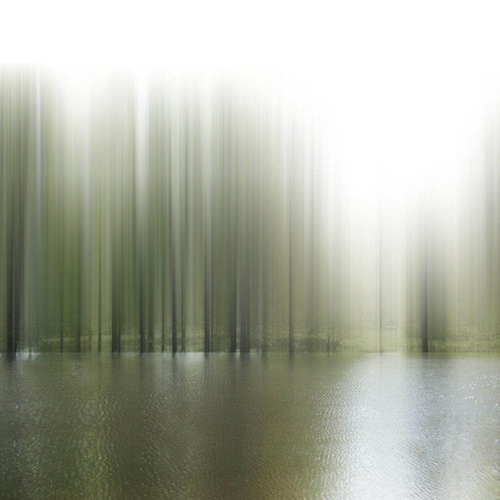 Bayou