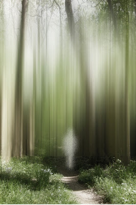 Into the Unknown