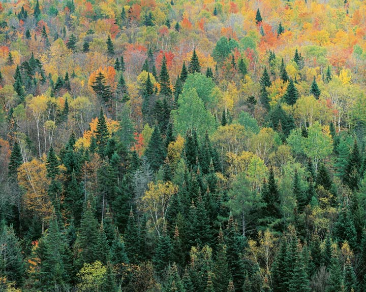 Franconia Hillside, New Hampshire