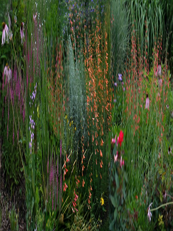 Garden 4