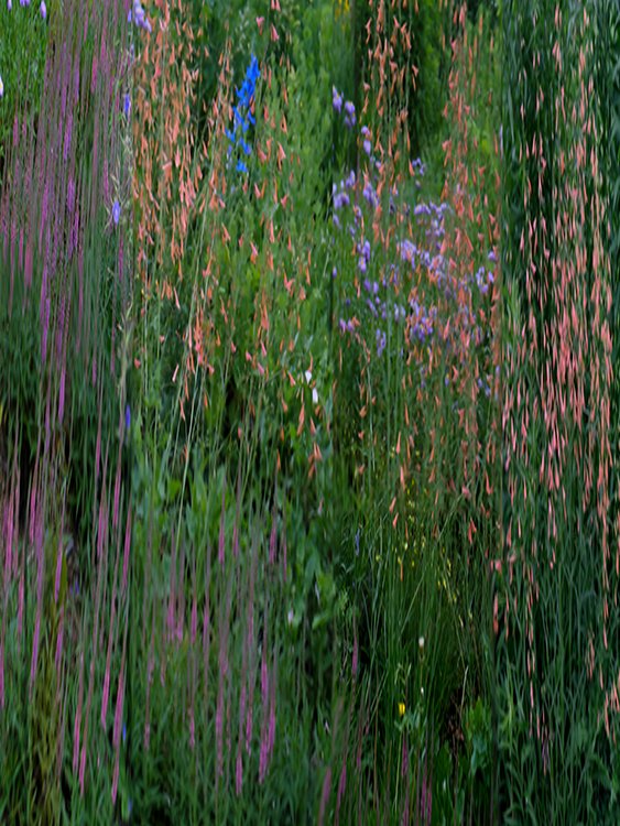 Garden 5