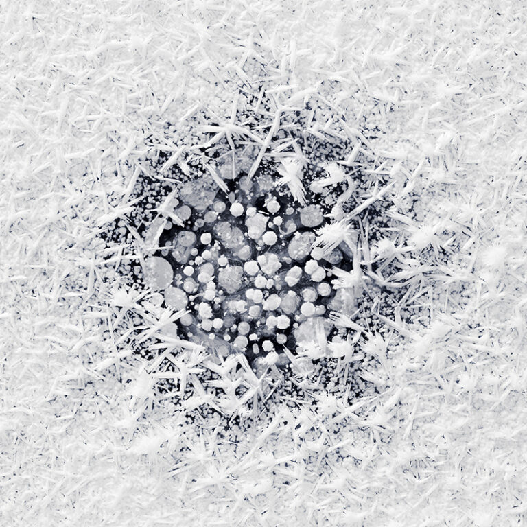 Frozen Bubbles No.5