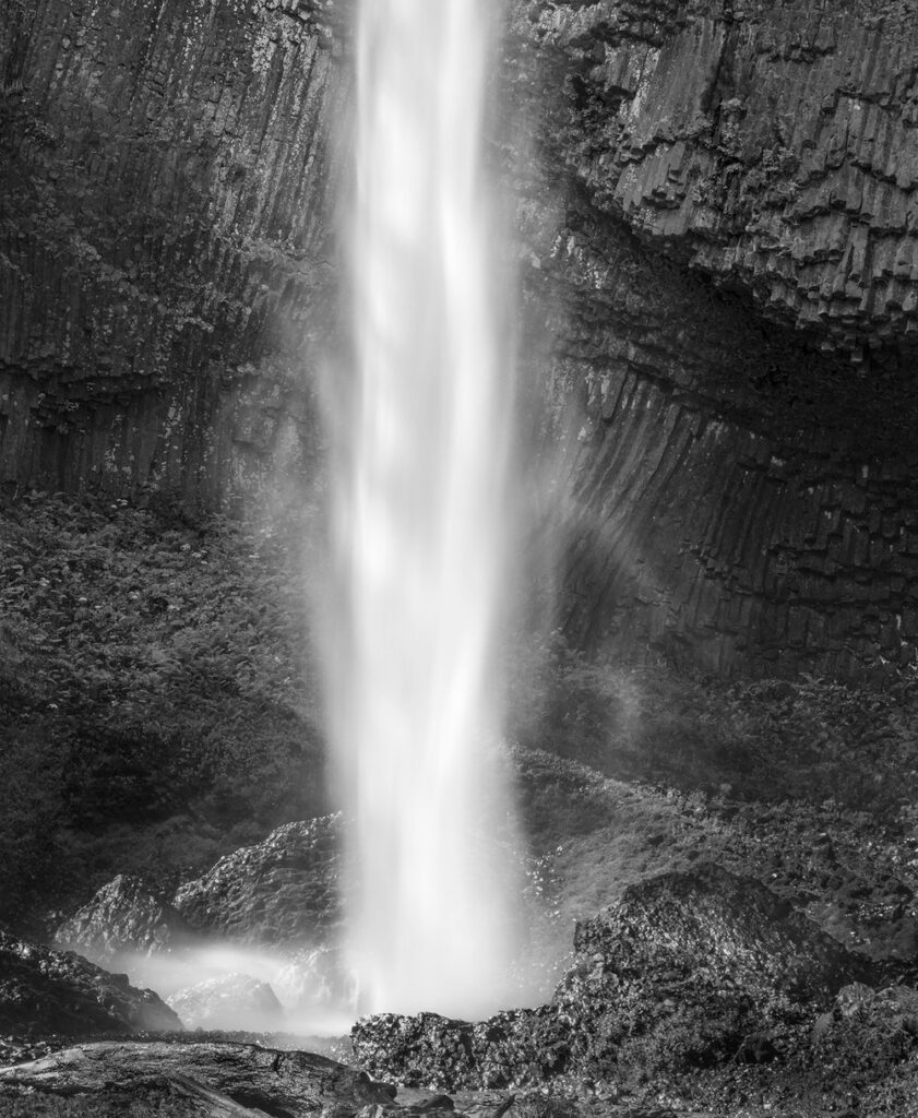 Life Flow 1
