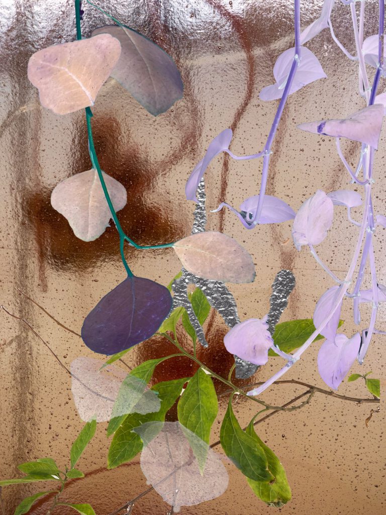 Flowers V 1