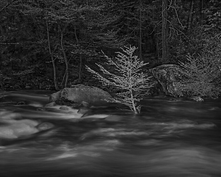 Last Light on the Merced, Yosemite