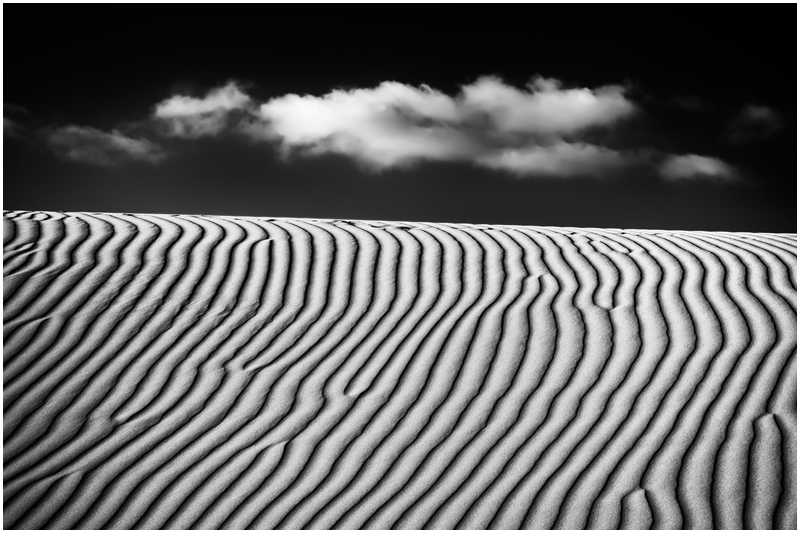 Oceano Dunes #5539