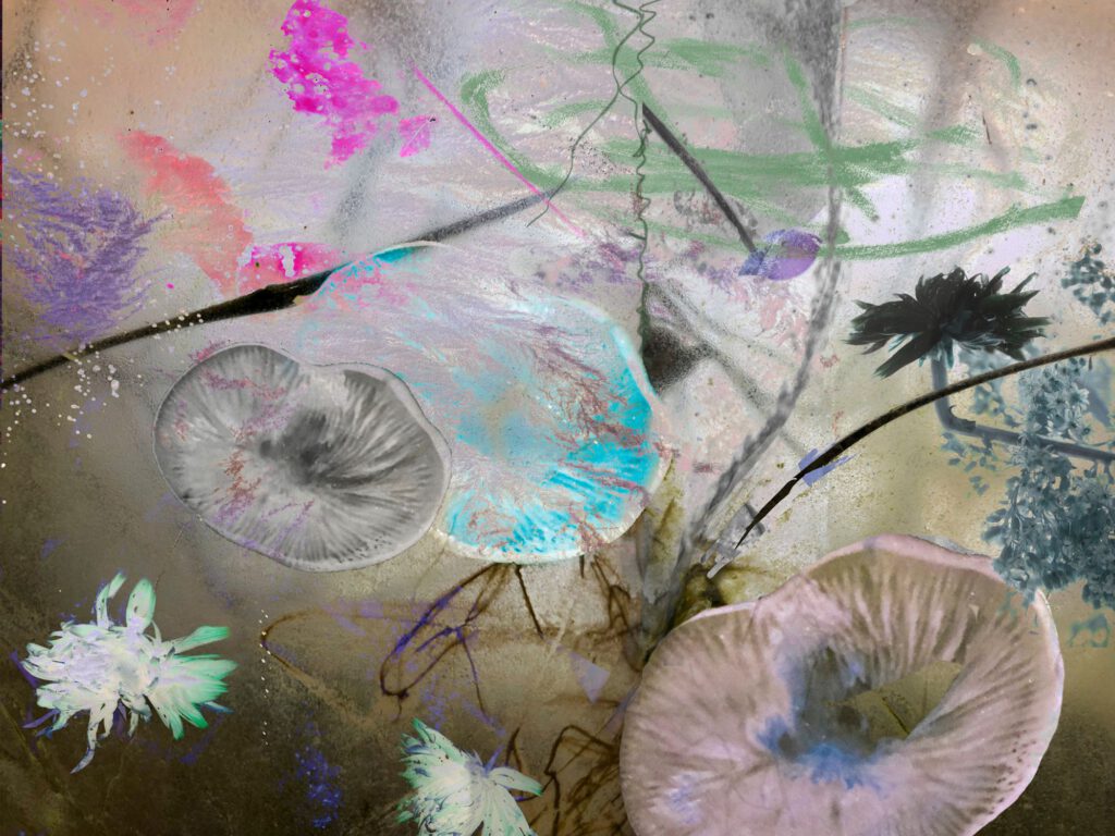 Undercurrents 14