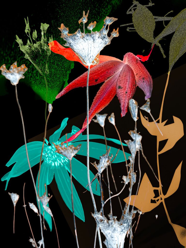 Wildflowers 01