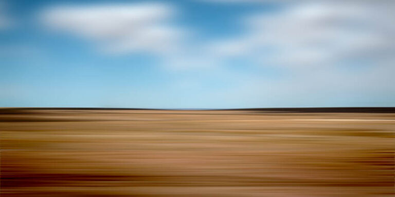 Prairie1b