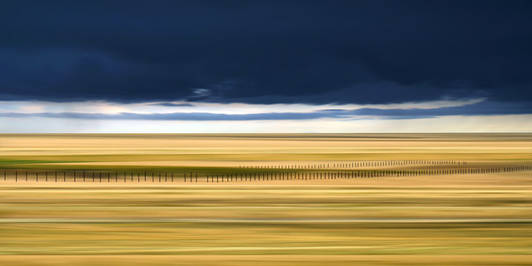 Prairie51