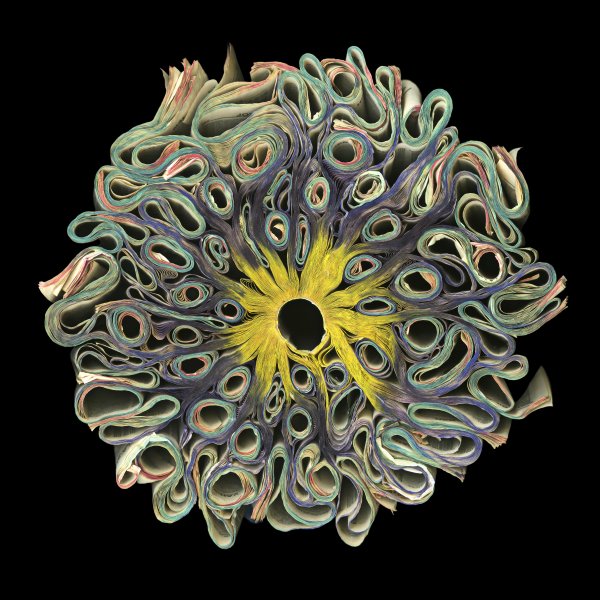 Psychedelic