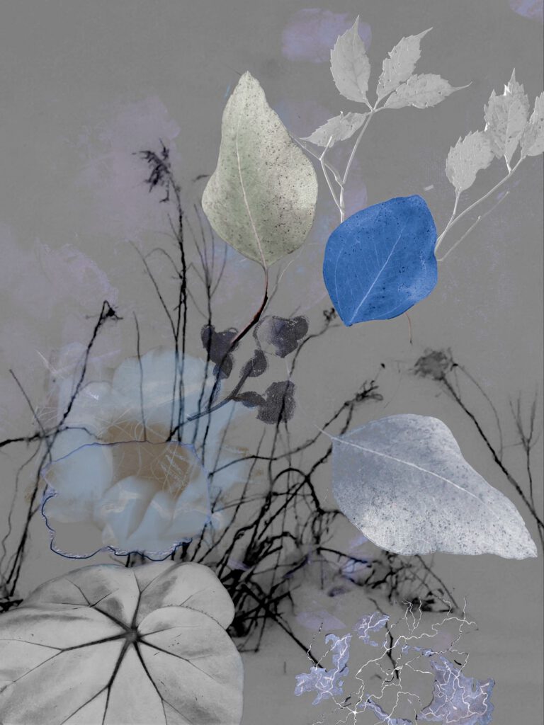 Flowers VI 02