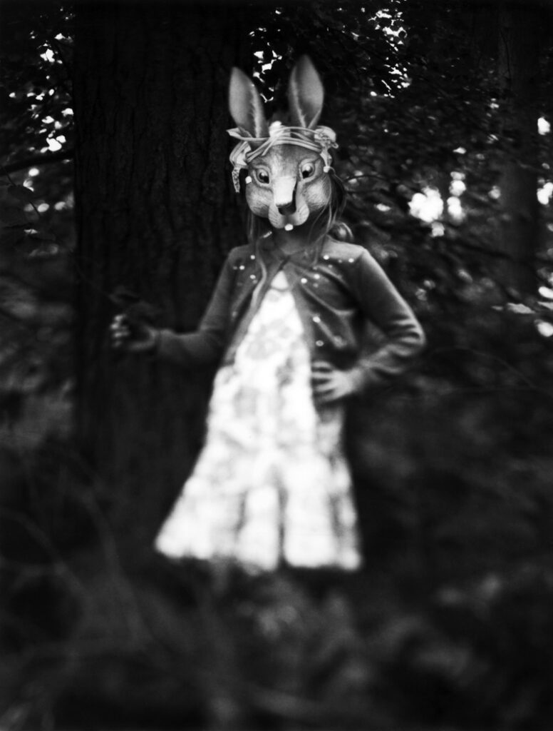 Rabbit