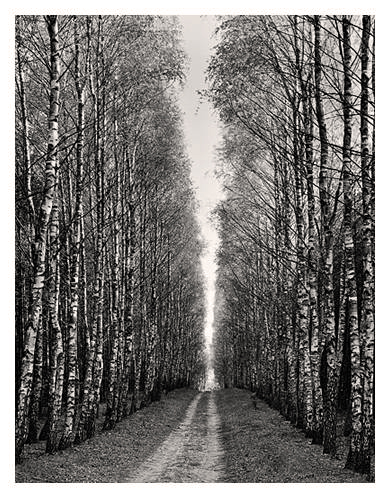 Road to Home