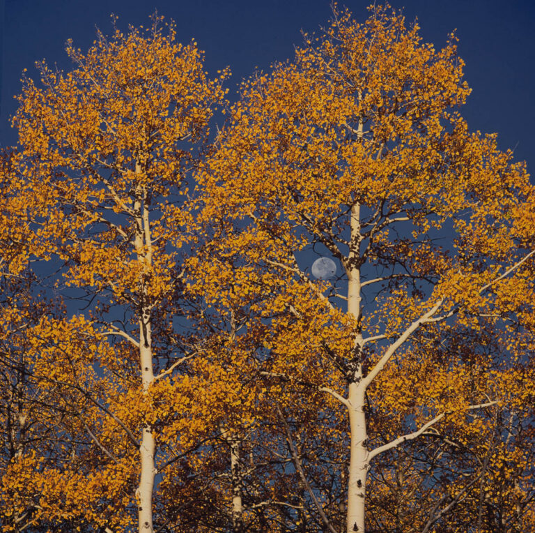 Sunrise Aspen & Moon, CO