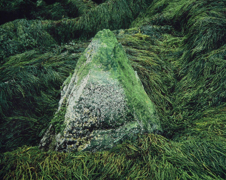 Sea Stone, New Brunswick
