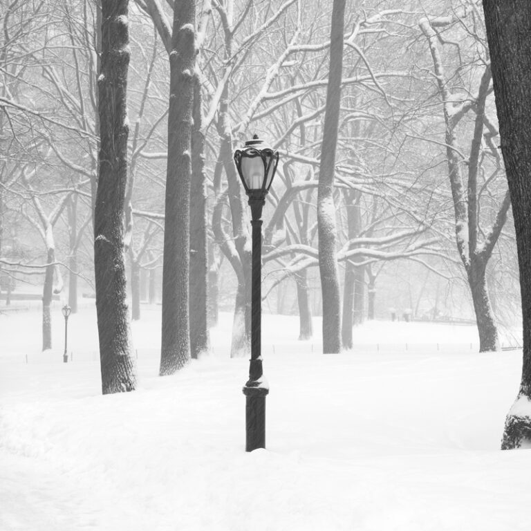 Lamp Post, NYC