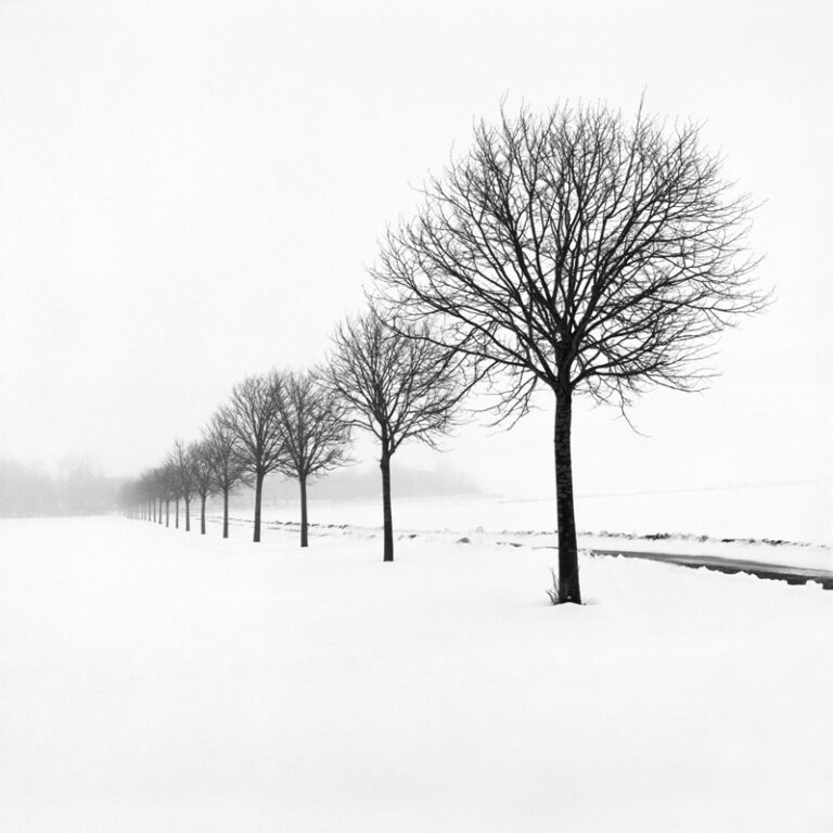 Snow Scene XXVI