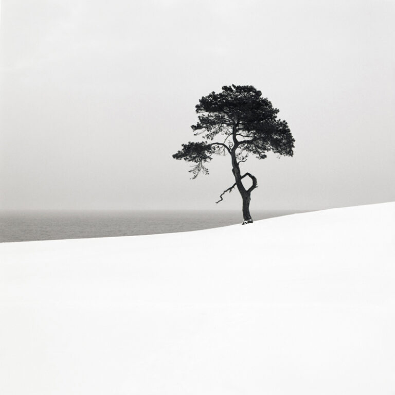 Snow Scene XX