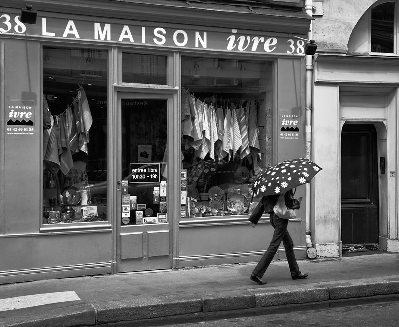 La Maison Ivre