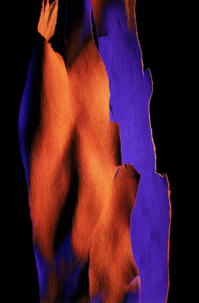 Spectrum Suite #210
