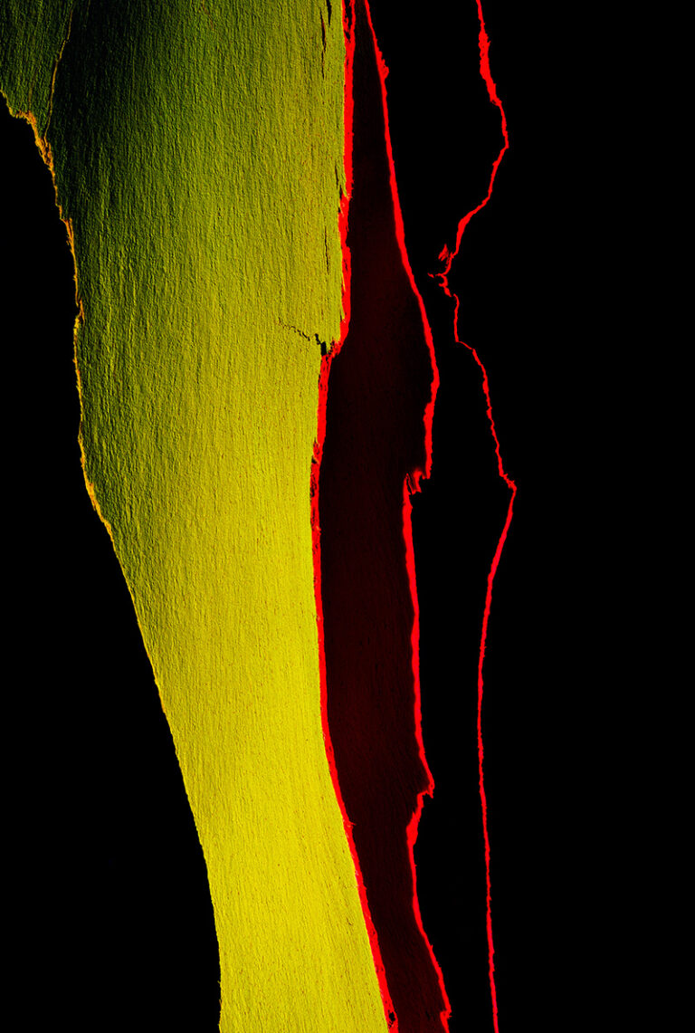 Spectrum Suite #212