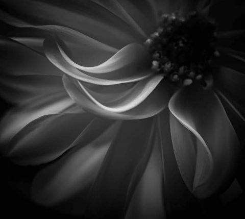 Whispers II