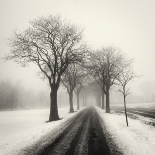 Fog and Snow, Sweden