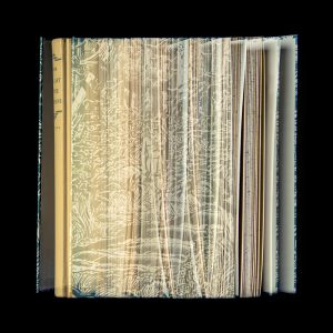 The Last of the Mohicans