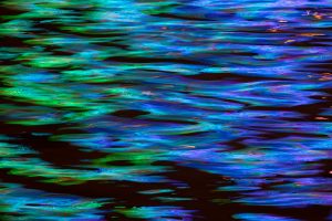 Typhoon Shelter No.5