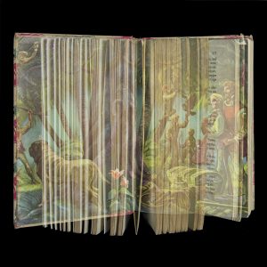 Swiss Family Robinson