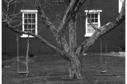 Tree, Swings and Windows, Lancaster, PA