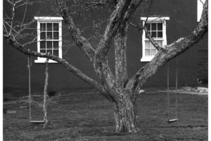 Tree, Swings and Windows, Lancaster, PA