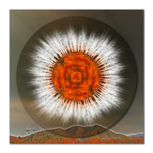 Safeguarding Poppies Mandala – 1