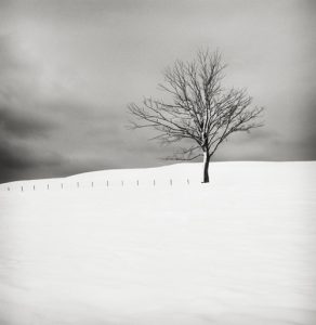 Snow Scene VI, Sweden